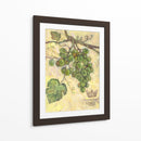 Chardonnay - Theresa Kasun | Cuadro decorativo de Canvas Lab