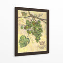 Chardonnay - Theresa Kasun | Cuadro decorativo de Canvas Lab