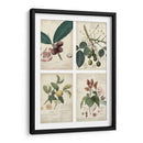 Mini Descubiertos - A. Descubes | Cuadro decorativo de Canvas Lab