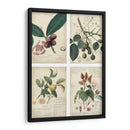 Mini Descubiertos - A. Descubes | Cuadro decorativo de Canvas Lab