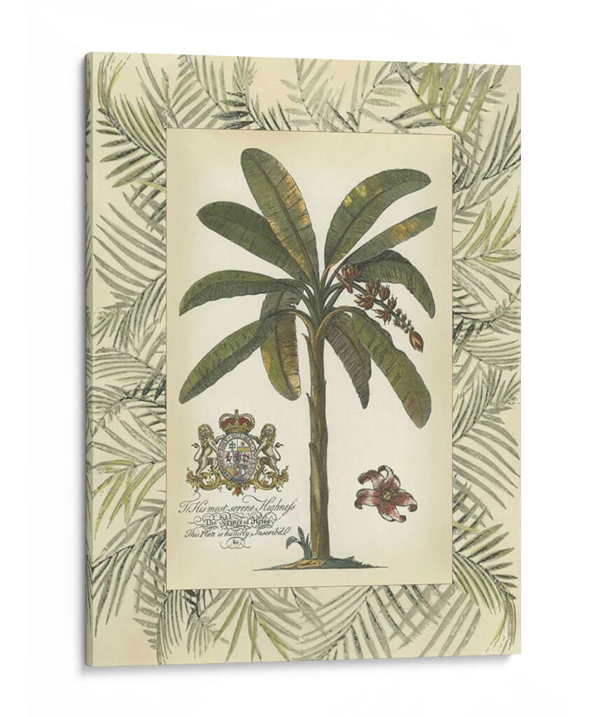 Palm En Bamboo Frame Ii - Vision Studio | Cuadro decorativo de Canvas Lab