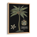 Palma En Negro I | Cuadro decorativo de Canvas Lab