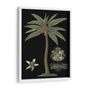 Palma En Negro I | Cuadro decorativo de Canvas Lab