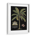 Palma En Negro Ii | Cuadro decorativo de Canvas Lab