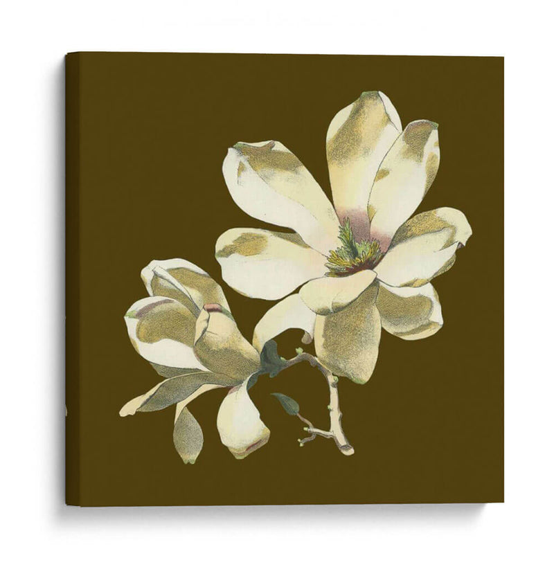 Magnolia En Taupe I | Cuadro decorativo de Canvas Lab