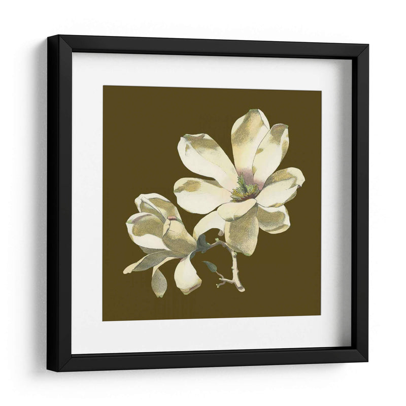 Magnolia En Taupe I | Cuadro decorativo de Canvas Lab