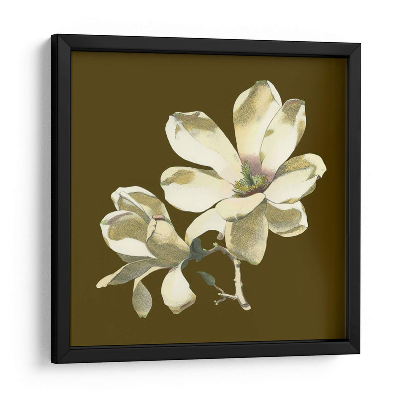 Magnolia En Taupe I | Cuadro decorativo de Canvas Lab