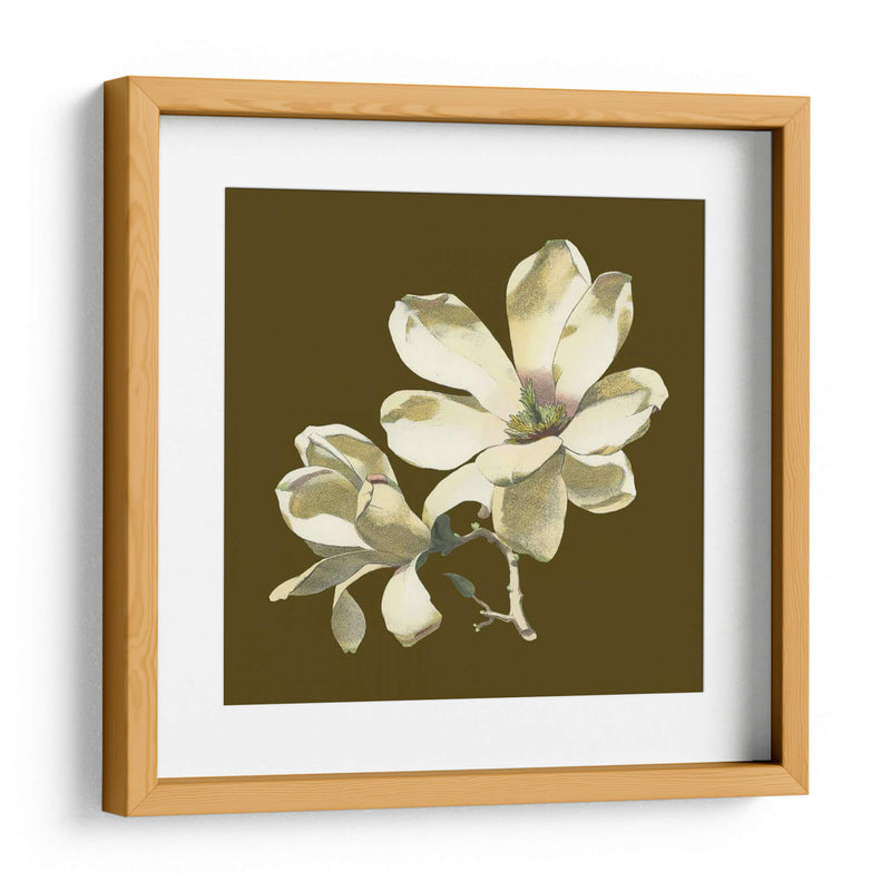 Magnolia En Taupe I | Cuadro decorativo de Canvas Lab