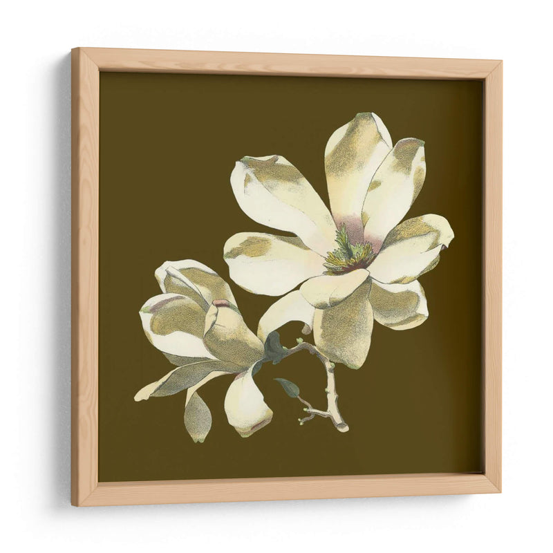 Magnolia En Taupe I | Cuadro decorativo de Canvas Lab