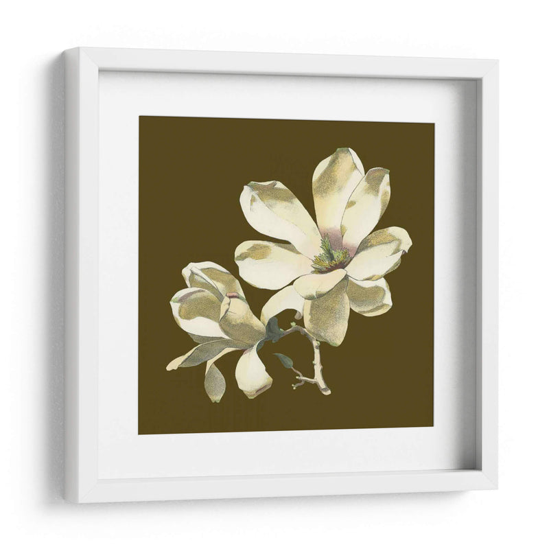 Magnolia En Taupe I | Cuadro decorativo de Canvas Lab