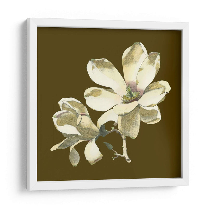 Magnolia En Taupe I | Cuadro decorativo de Canvas Lab