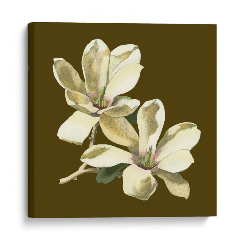 Magnolia En Taupe Ii | Cuadro decorativo de Canvas Lab