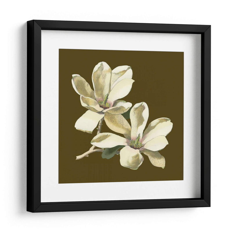 Magnolia En Taupe Ii | Cuadro decorativo de Canvas Lab