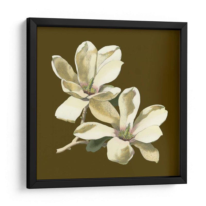 Magnolia En Taupe Ii | Cuadro decorativo de Canvas Lab