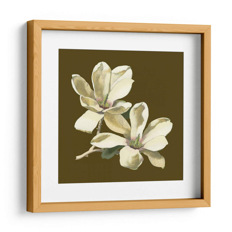 Magnolia En Taupe Ii | Cuadro decorativo de Canvas Lab