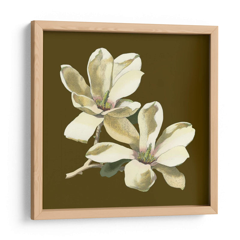 Magnolia En Taupe Ii | Cuadro decorativo de Canvas Lab