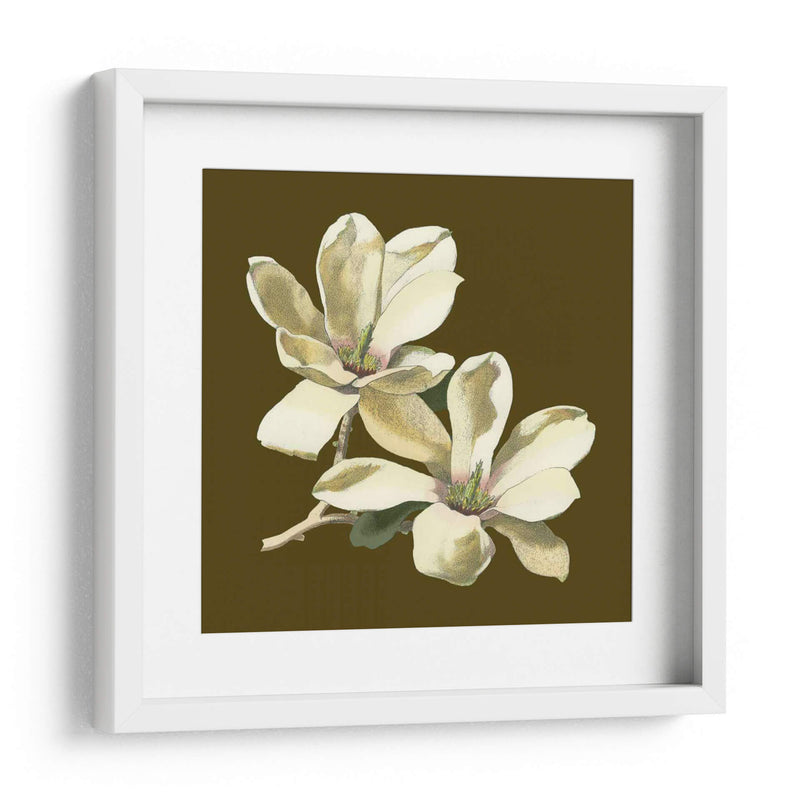 Magnolia En Taupe Ii | Cuadro decorativo de Canvas Lab