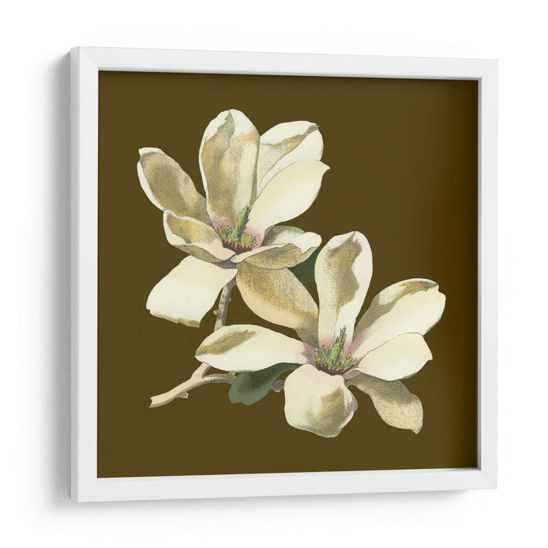 Magnolia En Taupe Ii | Cuadro decorativo de Canvas Lab