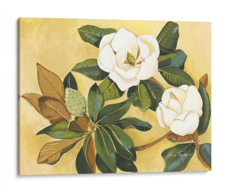 Magnolia Meridional I - Kris Taylor | Cuadro decorativo de Canvas Lab