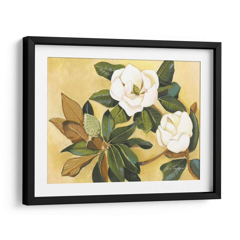 Magnolia Meridional I - Kris Taylor | Cuadro decorativo de Canvas Lab