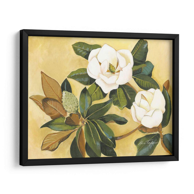 Magnolia Meridional I - Kris Taylor | Cuadro decorativo de Canvas Lab