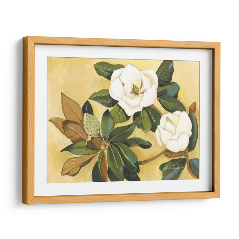 Magnolia Meridional I - Kris Taylor | Cuadro decorativo de Canvas Lab