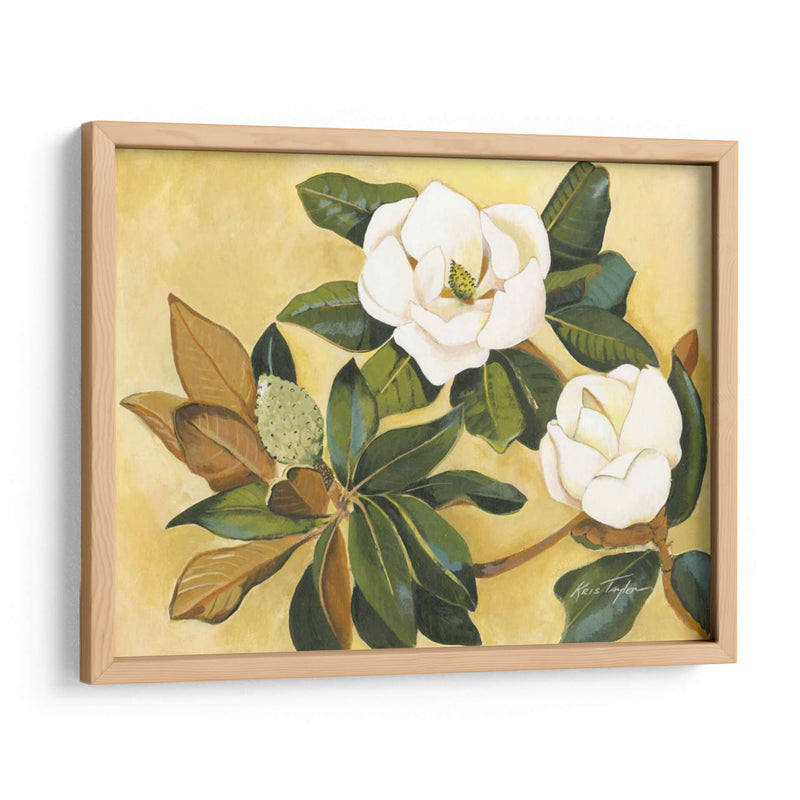 Magnolia Meridional I - Kris Taylor | Cuadro decorativo de Canvas Lab