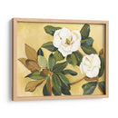 Magnolia Meridional I - Kris Taylor | Cuadro decorativo de Canvas Lab