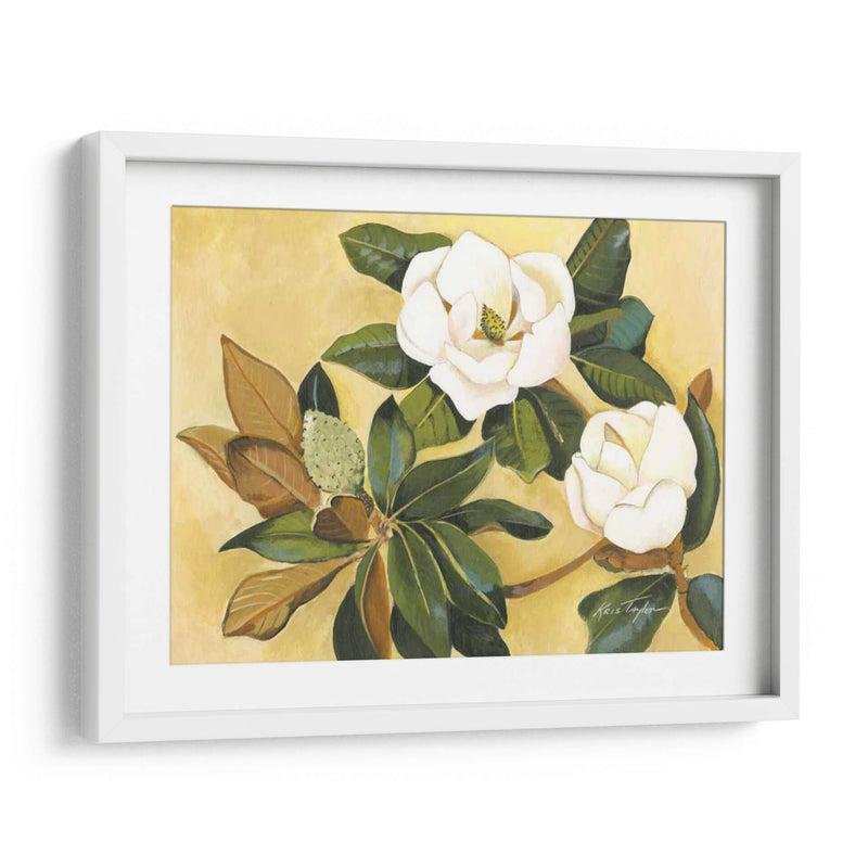 Magnolia Meridional I - Kris Taylor | Cuadro decorativo de Canvas Lab