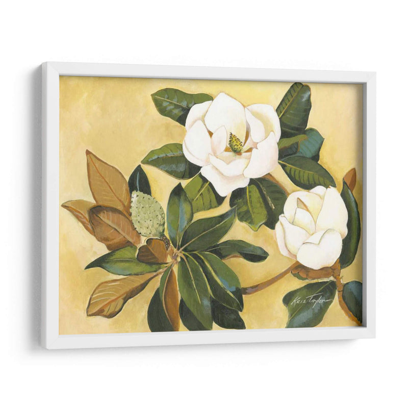 Magnolia Meridional I - Kris Taylor | Cuadro decorativo de Canvas Lab