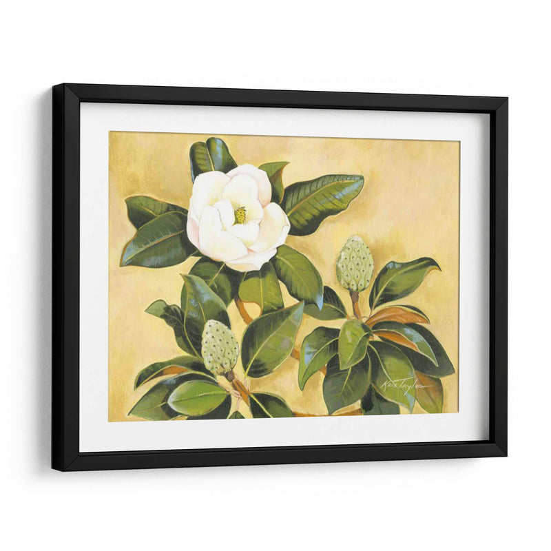 Magnolia Sur - Kris Taylor | Cuadro decorativo de Canvas Lab