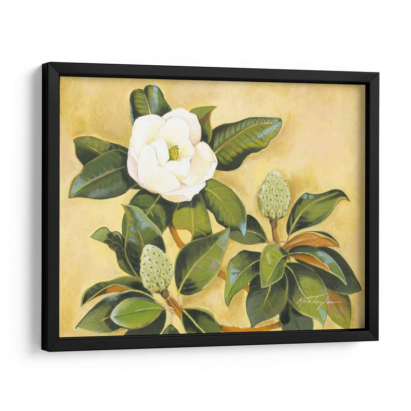 Magnolia Sur - Kris Taylor | Cuadro decorativo de Canvas Lab