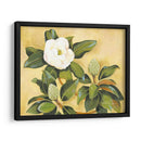 Magnolia Sur - Kris Taylor | Cuadro decorativo de Canvas Lab