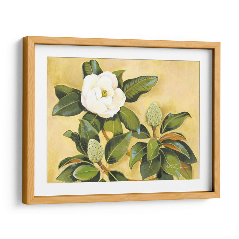 Magnolia Sur - Kris Taylor | Cuadro decorativo de Canvas Lab