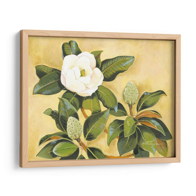 Magnolia Sur - Kris Taylor | Cuadro decorativo de Canvas Lab