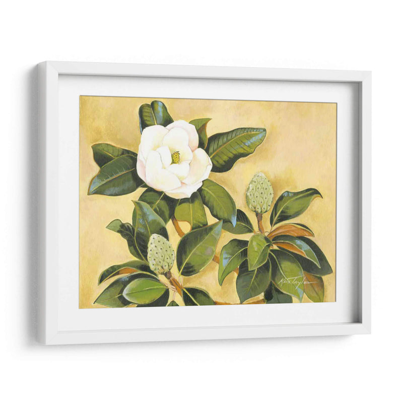 Magnolia Sur - Kris Taylor | Cuadro decorativo de Canvas Lab