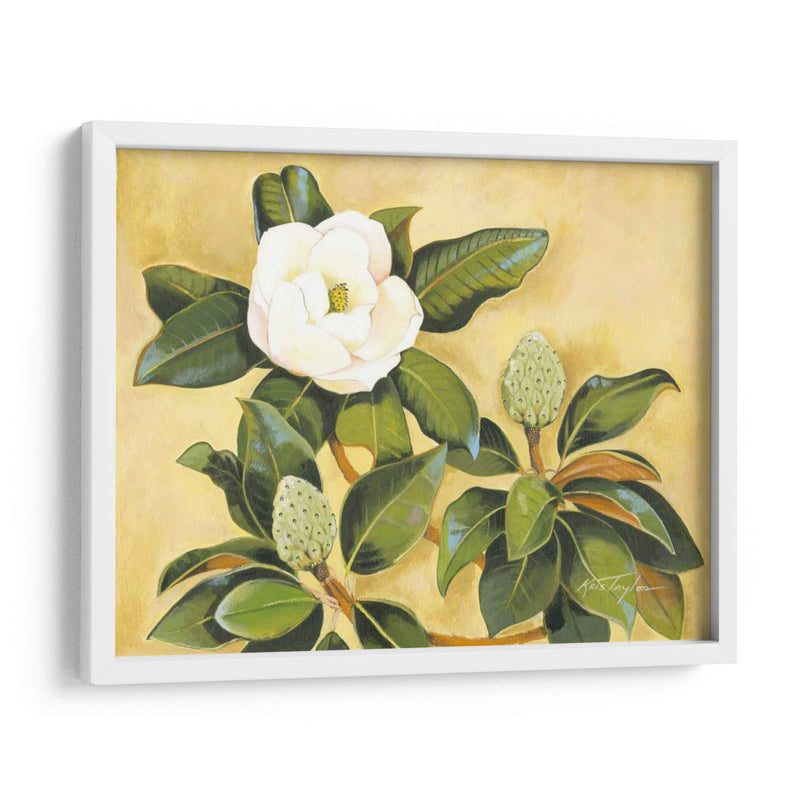 Magnolia Sur - Kris Taylor | Cuadro decorativo de Canvas Lab