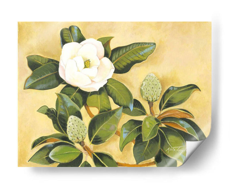 Magnolia Sur - Kris Taylor | Cuadro decorativo de Canvas Lab