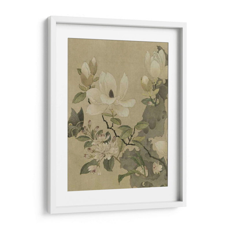 Magnolia Y Mariposa | Cuadro decorativo de Canvas Lab