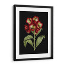 Flores Carmesí En Negro Iii | Cuadro decorativo de Canvas Lab