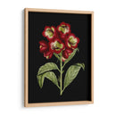 Flores Carmesí En Negro Iii | Cuadro decorativo de Canvas Lab