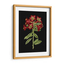 Flores Carmesí En Negro Iv | Cuadro decorativo de Canvas Lab