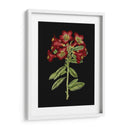 Flores Carmesí En Negro Iv | Cuadro decorativo de Canvas Lab