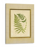 Helecho Con Estera De Crujido Iii | Cuadro decorativo de Canvas Lab