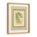Helecho Con Estera De Crujido Iii | Cuadro decorativo de Canvas Lab