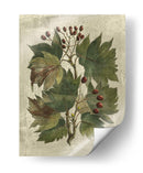 Estampado Deshayes Árboles I - Vision Studio | Cuadro decorativo de Canvas Lab