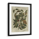 Estampado Deshayes Trees Ii - Vision Studio | Cuadro decorativo de Canvas Lab