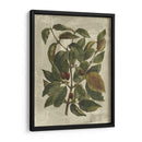 Estampado Deshayes Trees Ii - Vision Studio | Cuadro decorativo de Canvas Lab