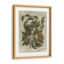 Estampado Deshayes Trees Ii - Vision Studio | Cuadro decorativo de Canvas Lab