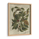 Estampado Deshayes Trees Ii - Vision Studio | Cuadro decorativo de Canvas Lab